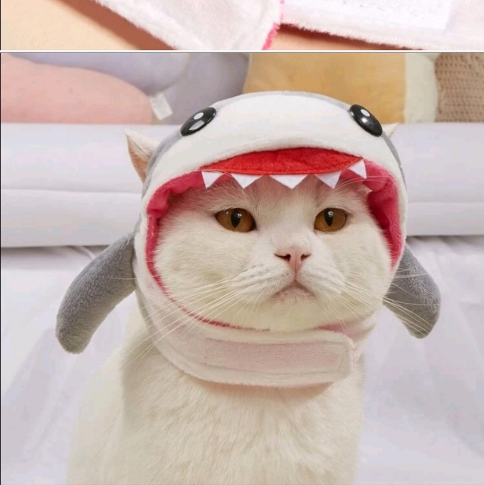 Halloween Bundle of 3 cat hats